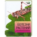 Болезни растений