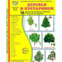 Деревья и кустарники. 16 демонстрационных картинок с текстом на обороте