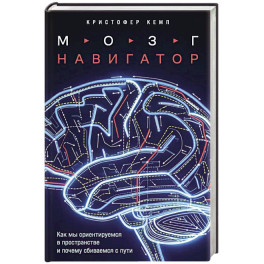 Мозг-навигатор: Как мы ориентируемся в пространстве и почему сбиваемся с пути