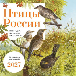 Птицы России. Когда ждать, где искать, как отличать. Календарь настенный на 2027 год
