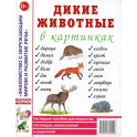 Дикие животные в картинках
