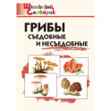 Грибы. Съедобные и несъедобные