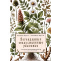Легендарные лекарственные растения. Технологии приготовления лекарств и лечение заболеваний