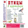 Птицы в картинках. Выпуск 2. Наглядное пособие для педагогов, логопедов, воспитателей и родителей
