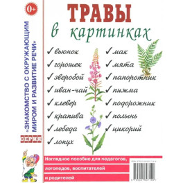 Травы в картинках. Наглядное пособие для педагогов, логопедов, воспитателей и родителей