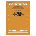 Юный гитарист