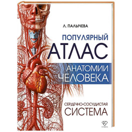 Популярный атлас анатомии человека. Сердечно-сосудистая система