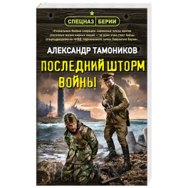 Последний шторм войны