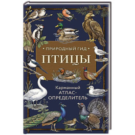 Птицы. Карманный атлас-определитель