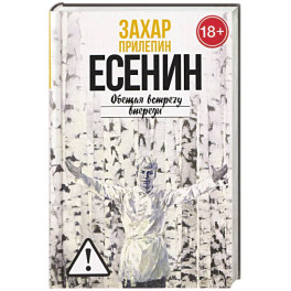 Есенин: Обещая встречу впереди