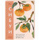 Сибуи. Японская мудрость времени