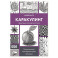 Каракулинг. Медитация в каждом штрихе