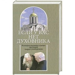 Если у вас нет духовника. На вопросы верующих отвечает протоиерей Андрей Спиридонов