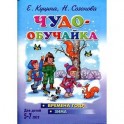 Чудо-обучайка. Времена года. Зима. Для детей 5-7 лет