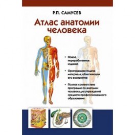 Атлас анатомии человека. Учебное пособие для студентов учреждений среднего профессионального образования