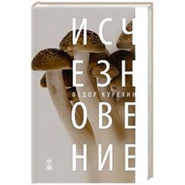 Исчезновение